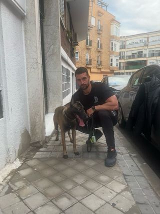 Adiestramiento y educador canino