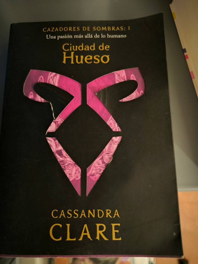 Ciudad de hueso