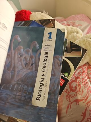 biología y geología 1 eso