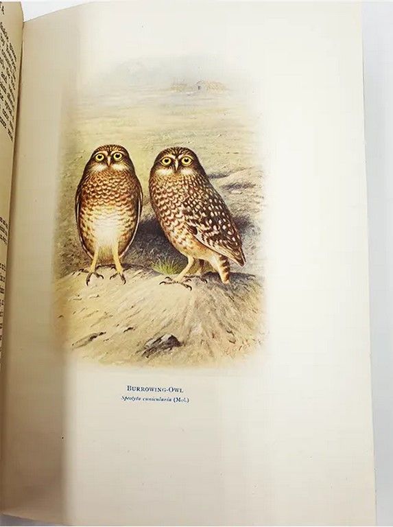 Birds of La Plata