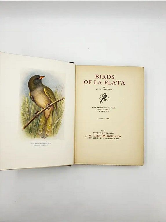 Birds of La Plata
