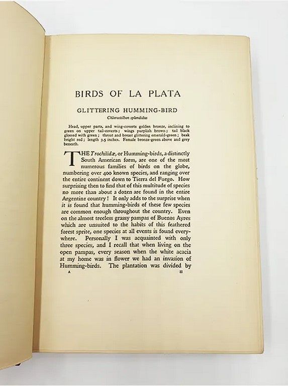 Birds of La Plata