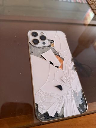 Apple Iphone 12 Pro Max 256Gb 