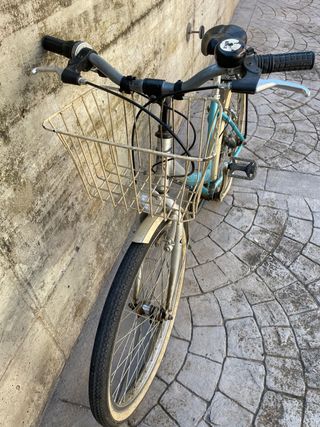 Bicicleta cinzia - clasica