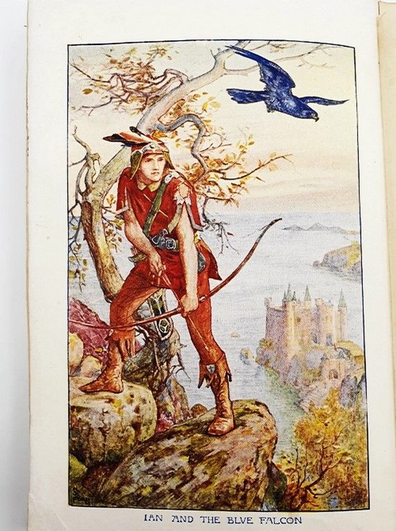 The Orange Fairy Book