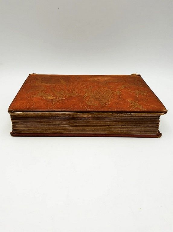 The Orange Fairy Book