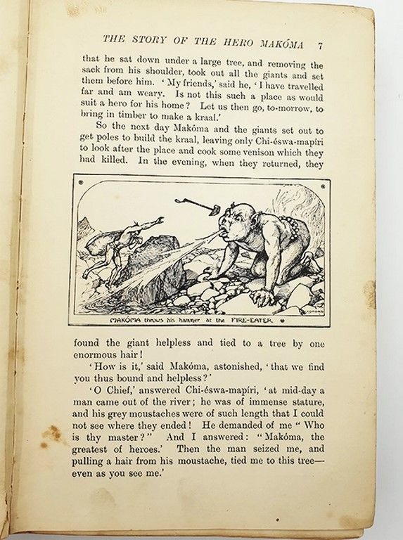 The Orange Fairy Book