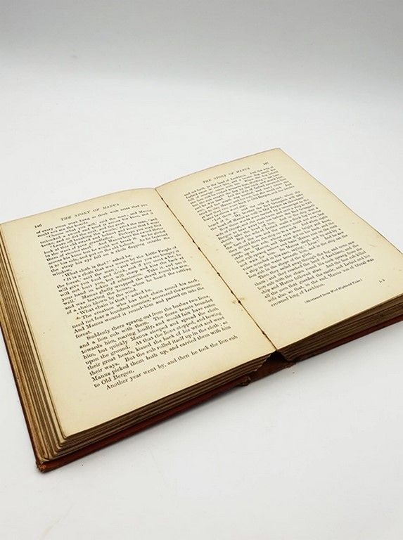 The Orange Fairy Book