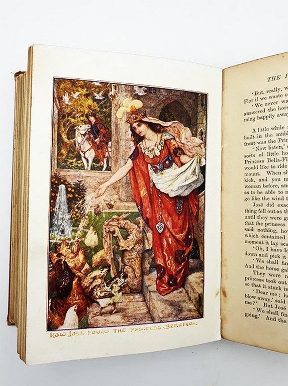 The Orange Fairy Book