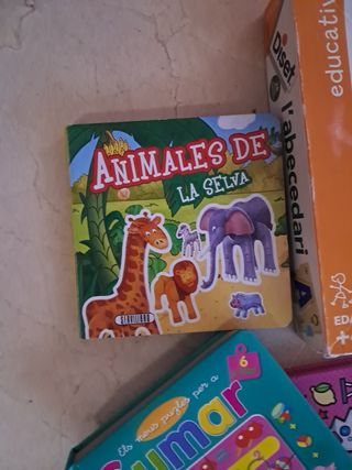 Lote juegos educativos