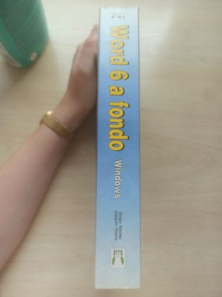 Libro Word Windows 6 a fondo