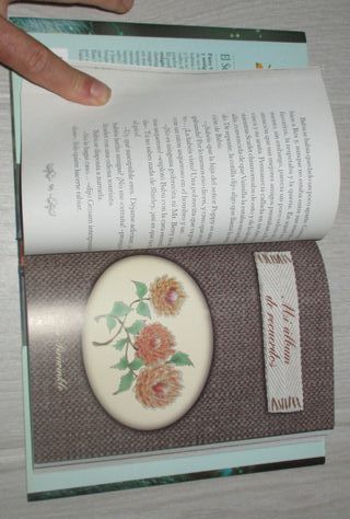 LIBRO EL SECRETO DE LAS GEMELAS