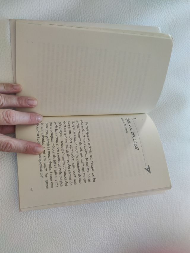 El primer vol de la bruixeta Tornassol