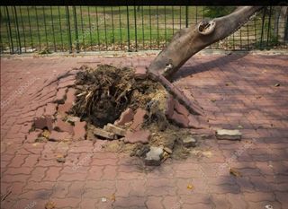 soluciones eficaz excavación