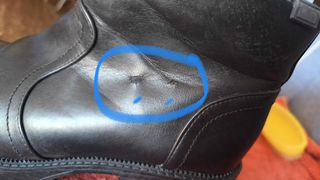 Botines mujer