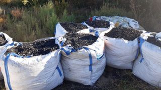 Biochar sin activar 