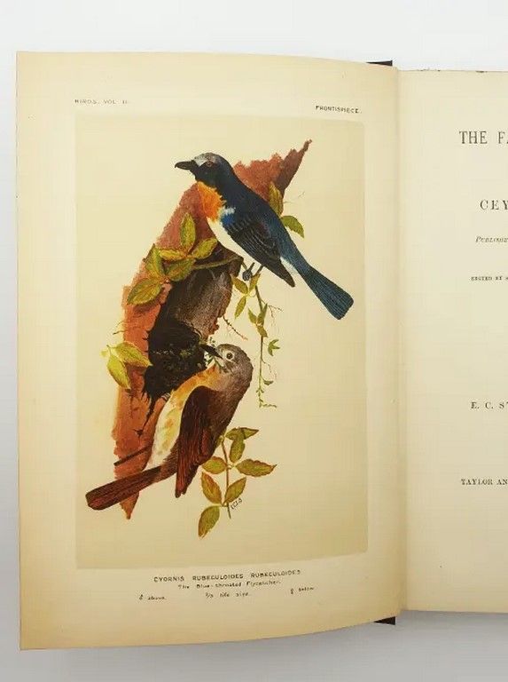The Fauna of British India Vol. II-VIII