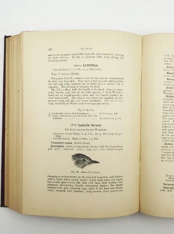 The Fauna of British India Vol. II-VIII