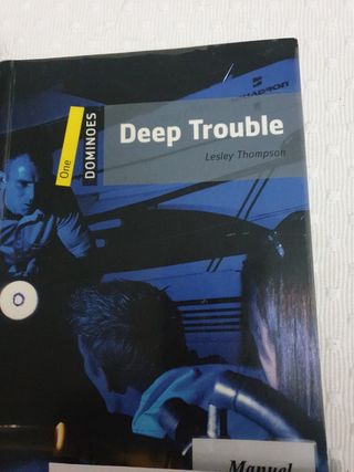 Libro lectura en inglés