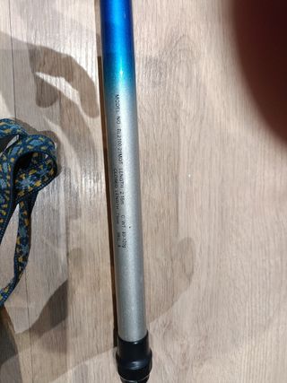 Caña de pescar Daiwa Bolentino 2100