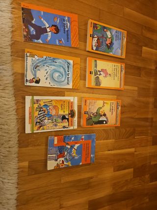 Lote de libros infantiles