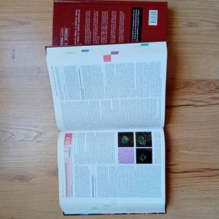 Medicina Interna volumen I y II