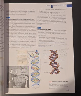 Biologia. Le basi molecolari...ISBN 9788808189301