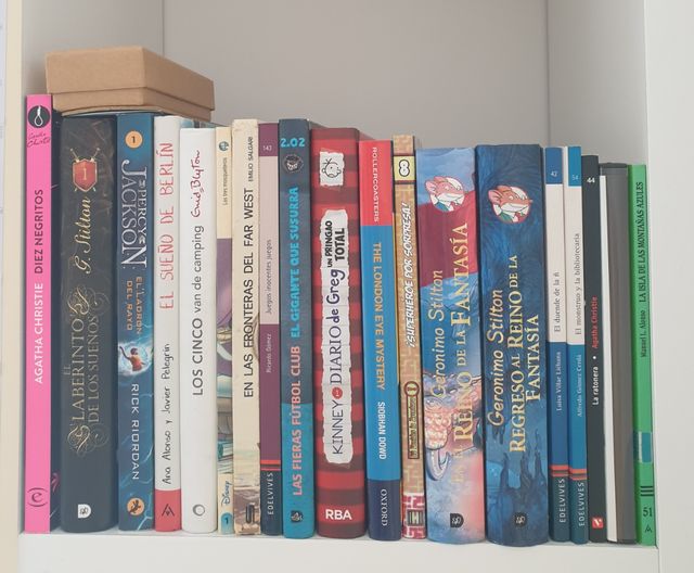 Lote libros juveniles