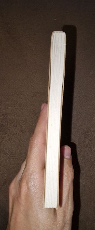 Vai aonde te leva o coração de susanna t