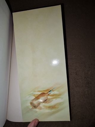 As palavras que nunca te direi