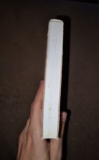 As palavras que nunca te direi