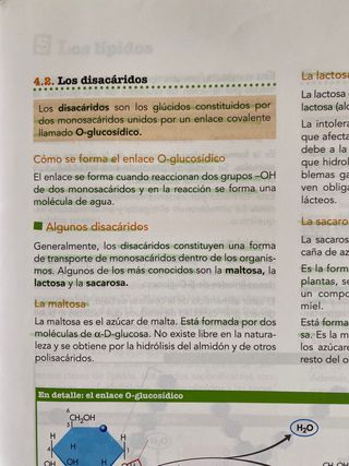 Libro de biologia