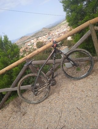 Bicicleta