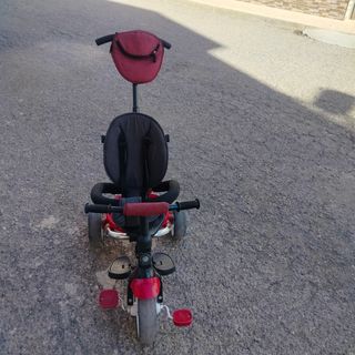 Triciclo evolutivo 