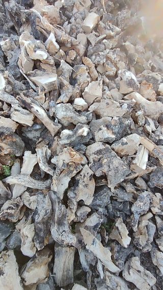 Leña cepa olivo 0.10