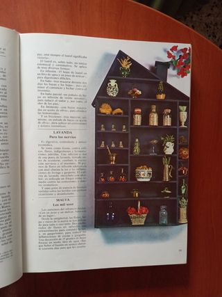 Medicinas naturales.