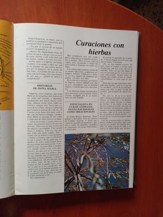 Medicinas naturales.