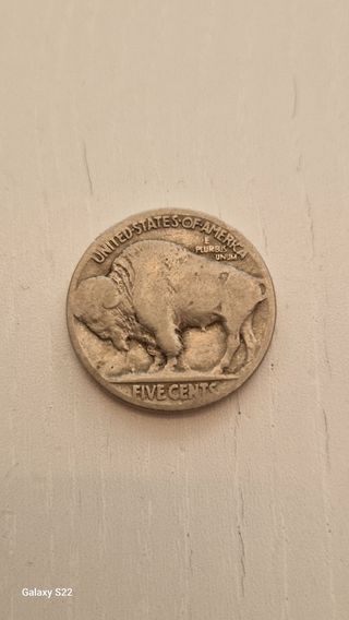 Moneda 5 cen.bufalo