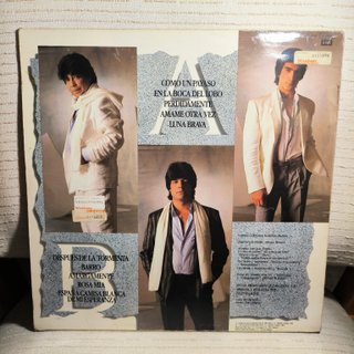 LOS CHUNGUITOS - DESPUES DE LA TORMENTA VINILO LP