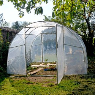 Invernadero 3m x 3m
