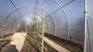 Invernadero 4m x 6m
