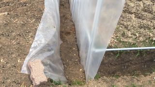Invernadero paredes rectas 3m x4,5m