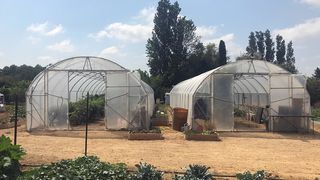 Invernadero Tunel 5m x 15m