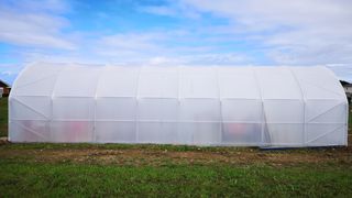 Invernadero Tunel 5m x 15m