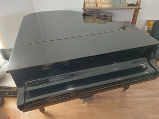 PIANO DE COLA PETROF