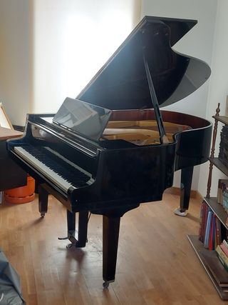 PIANO DE COLA PETROF