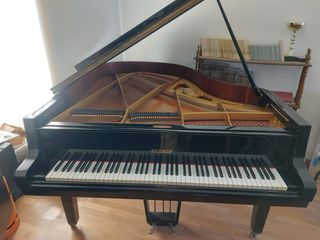 PIANO DE COLA PETROF