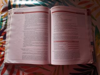 Lengua Castellana y Literatura 1 bachillerato