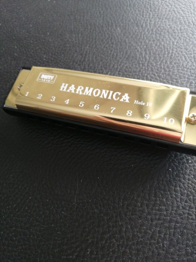 Armonica 10 holeDMTS professional