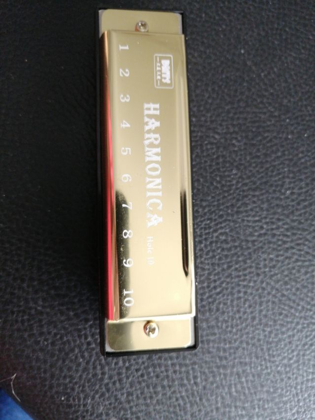 Armonica 10 holeDMTS professional